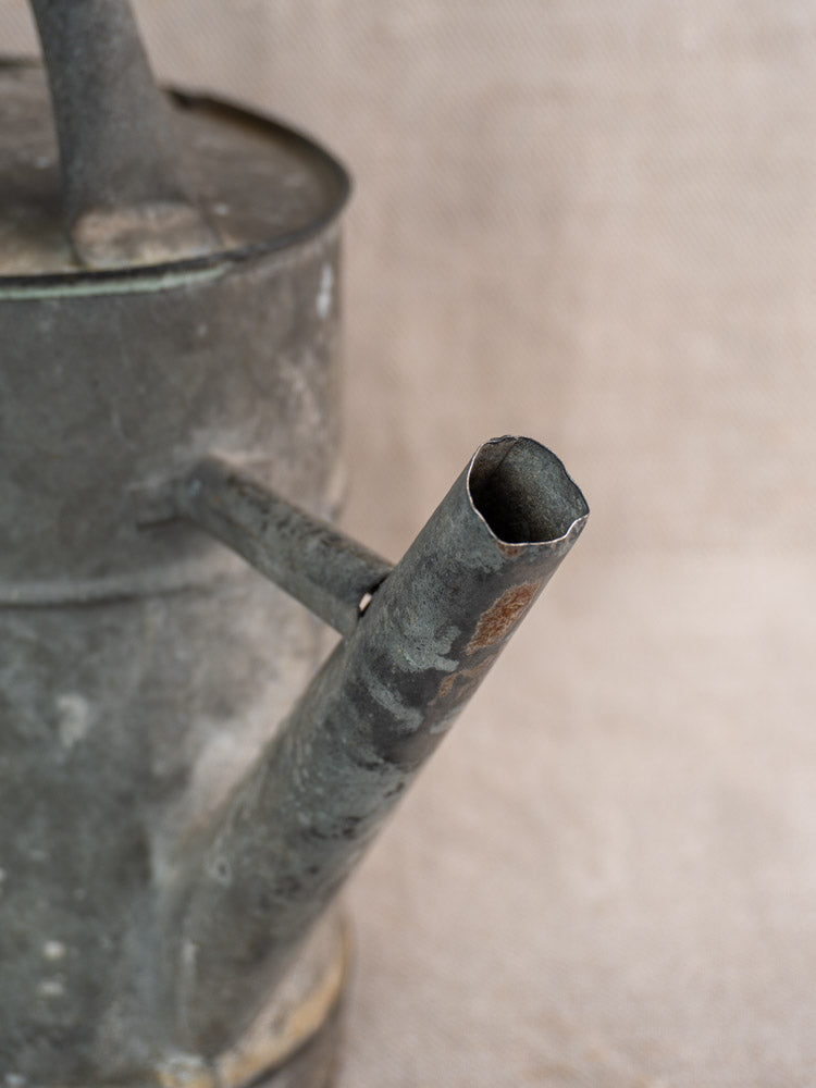 Antique French zinc watering can spout with vintage patina and rust, late 19th-early 20th century, neutral background.