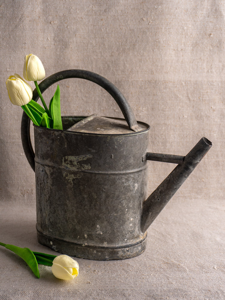 Antique French zinc watering can with three pale yellow tulips, on beige fabric background.