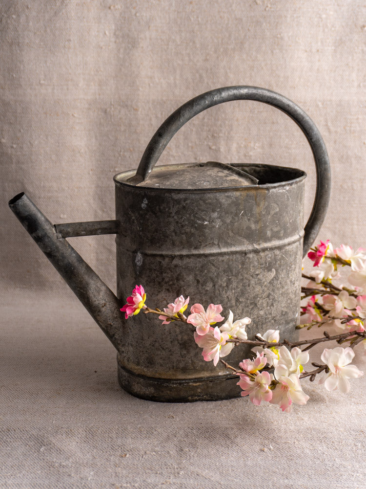 Antique French zinc watering can crafted from galvanized sheet zinc beside white and pink cherry blossoms on neutral fabric.