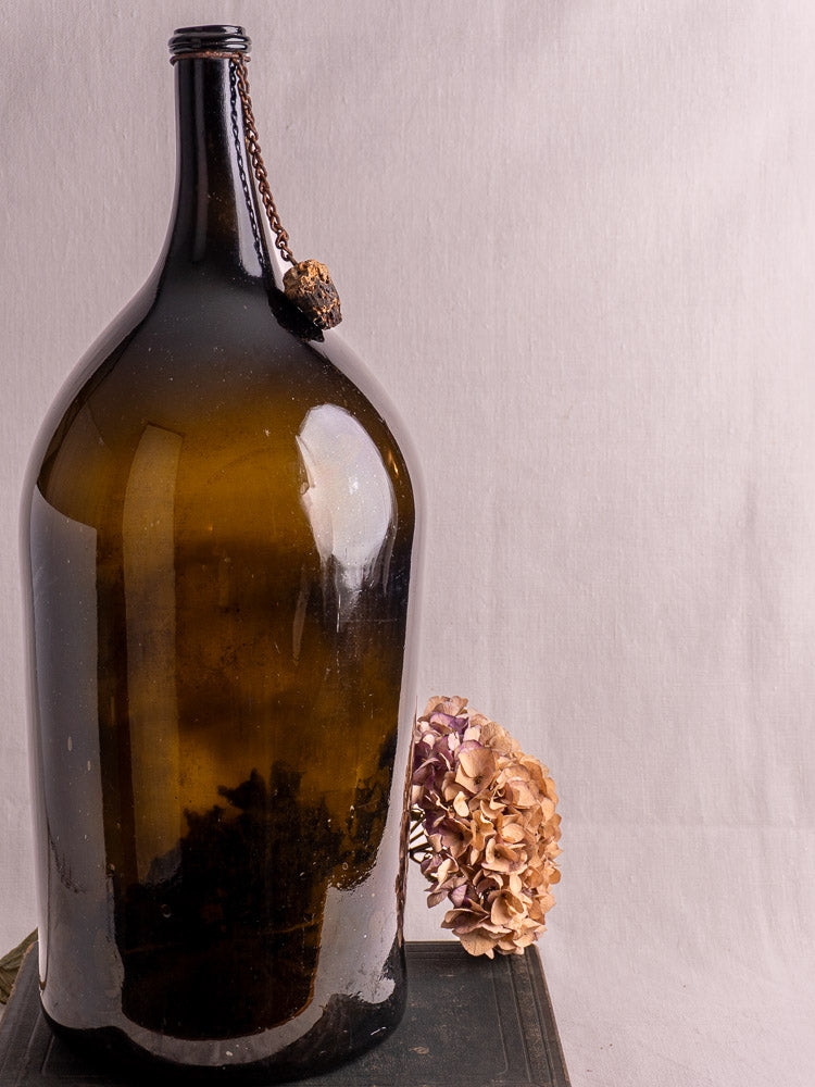 Antique French dark olive hand-blown glass demijohn with original chain and cork beside faded pink hydrangea on a book.