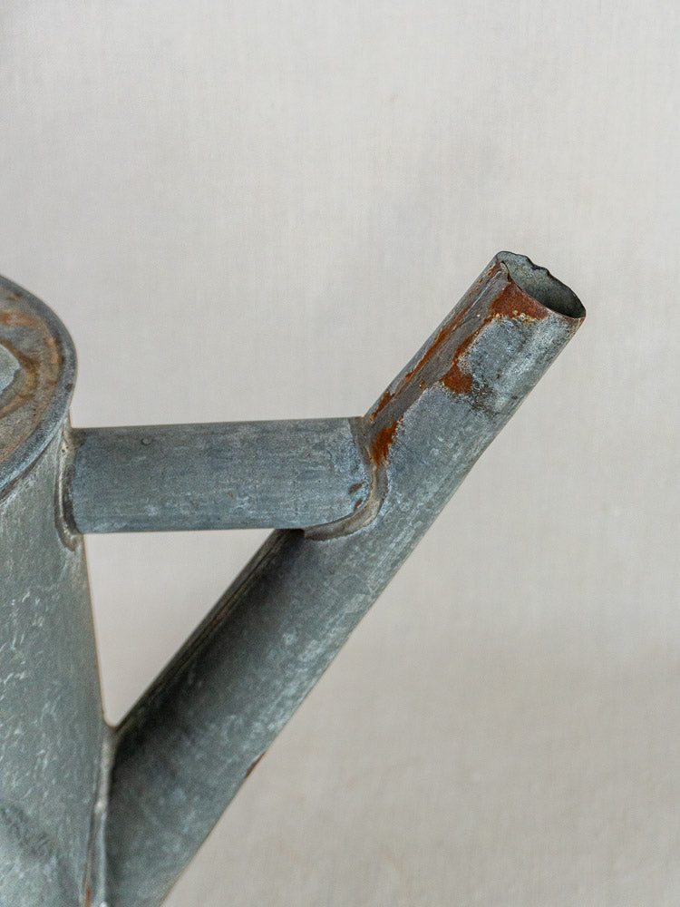 French antique zinc garden arrosoir with oval shape, weathered finish, and rust on spout against light background.