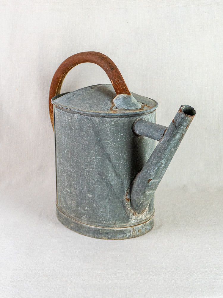 Antique French zinc oval watering can with weathered brown handle on a light background.