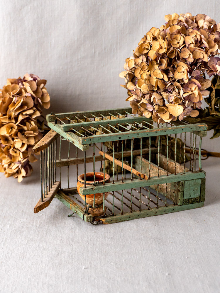 Antique French sage green decoy bird cage with open door and interior dish, accented by dried hydrangeas.
