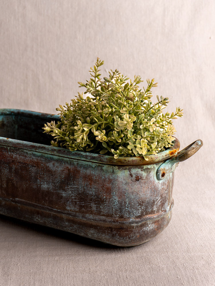Antique French copper poissonnière jardinière with verdigris patina and rustic handle, holding green foliage on neutral fabric.