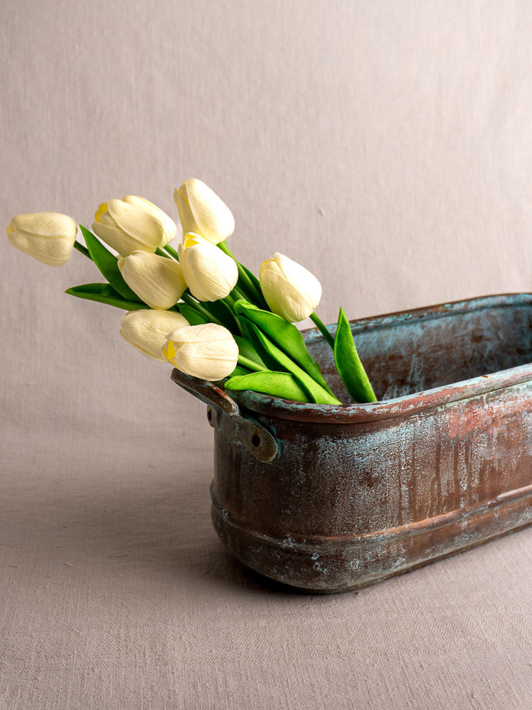 Antique French copper poissonnière jardinière with verdigris patina, filled with pale yellow tulips, neutral beige background.