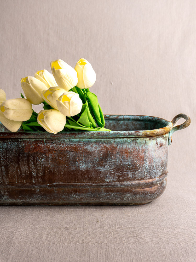 Antique French copper poissonnière jardinière with verdigris patina, holding white tulips, on beige background.