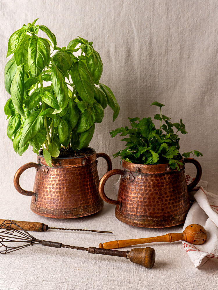 Pair of antique French hand-hammered copper pots with fresh herbs, vintage utensils, and tea towel on linen backdrop.