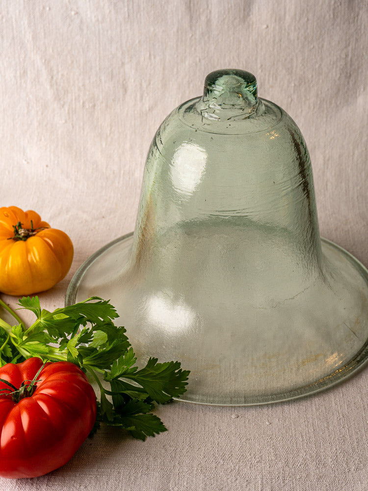 Antique French hand-blown glass melon cloche on beige fabric with red tomato, yellow tomato, and leafy herbs.
