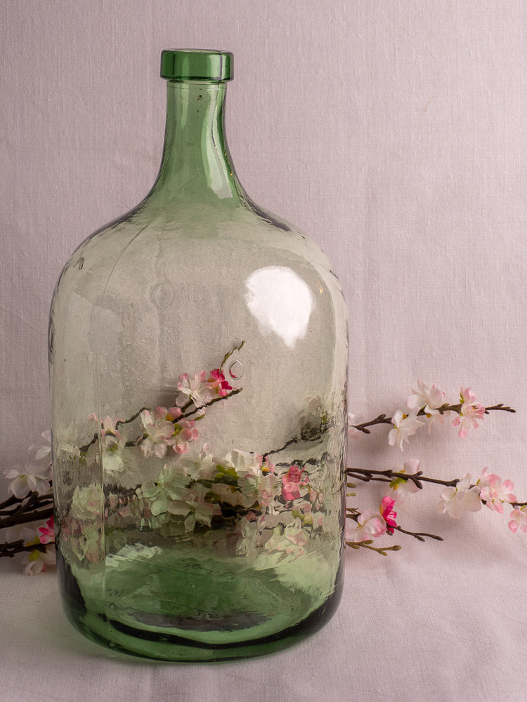 Antique French green glass demijohn with cherry blossom branches behind against a pink backdrop.