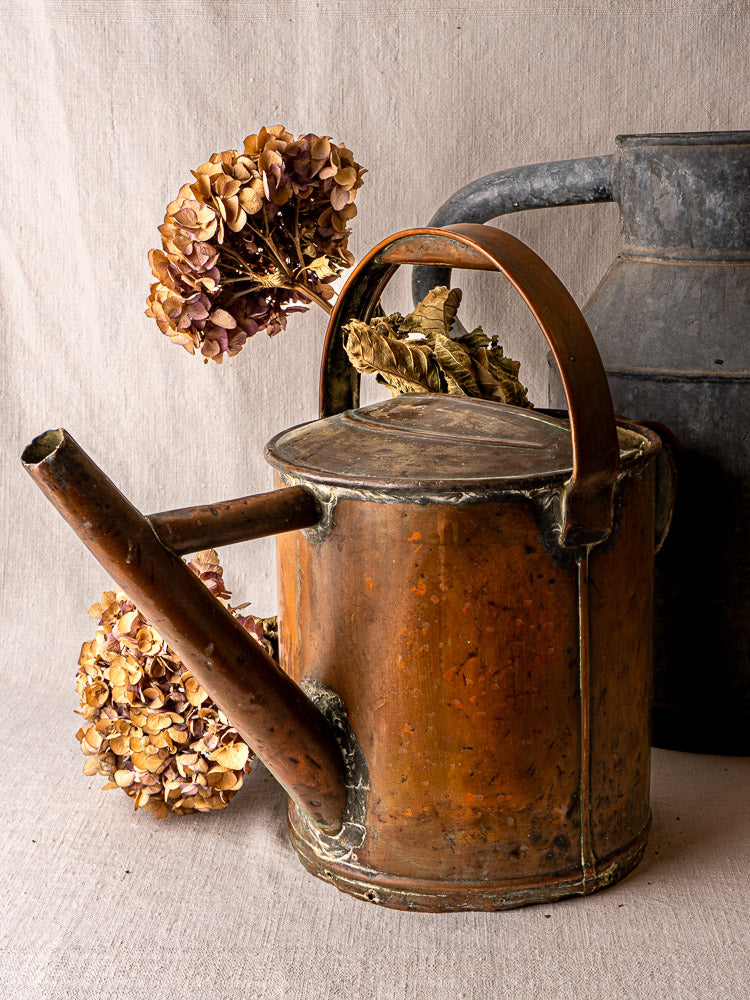 Antique French hand-hammered copper watering can with dried hydrangeas, beige fabric backdrop.