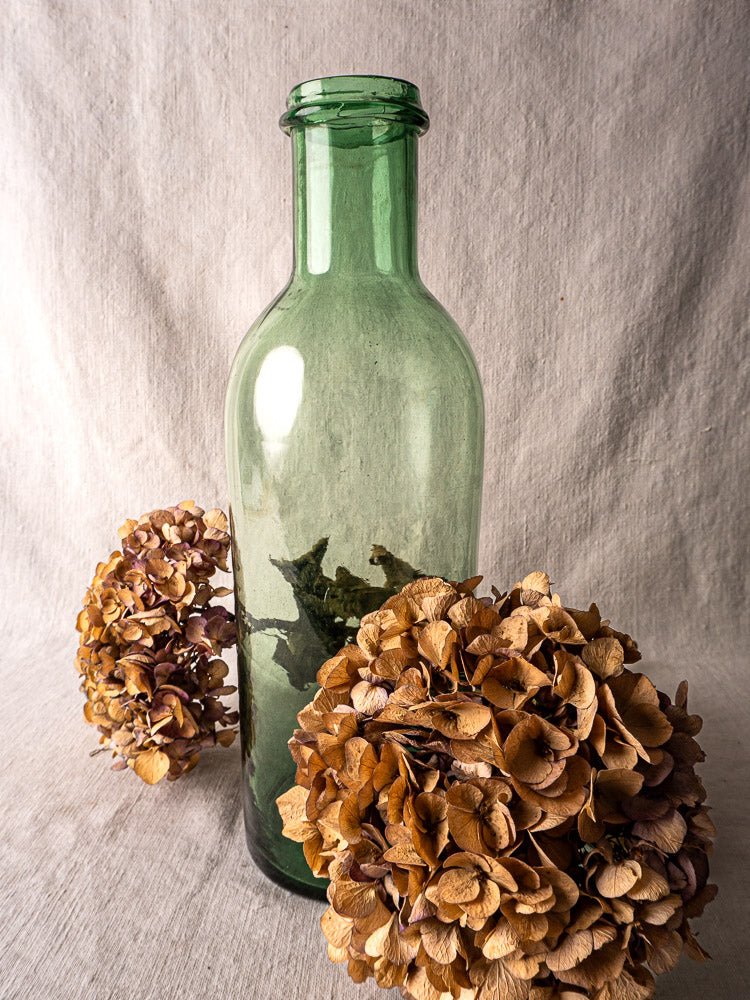 Antique French green bubble glass preserves bottle, circa 1900, with dried leaves and hydrangeas.