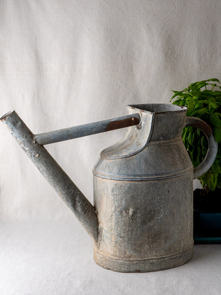 Large antique French zinc watering can with long spout on light surface, potted plant behind.