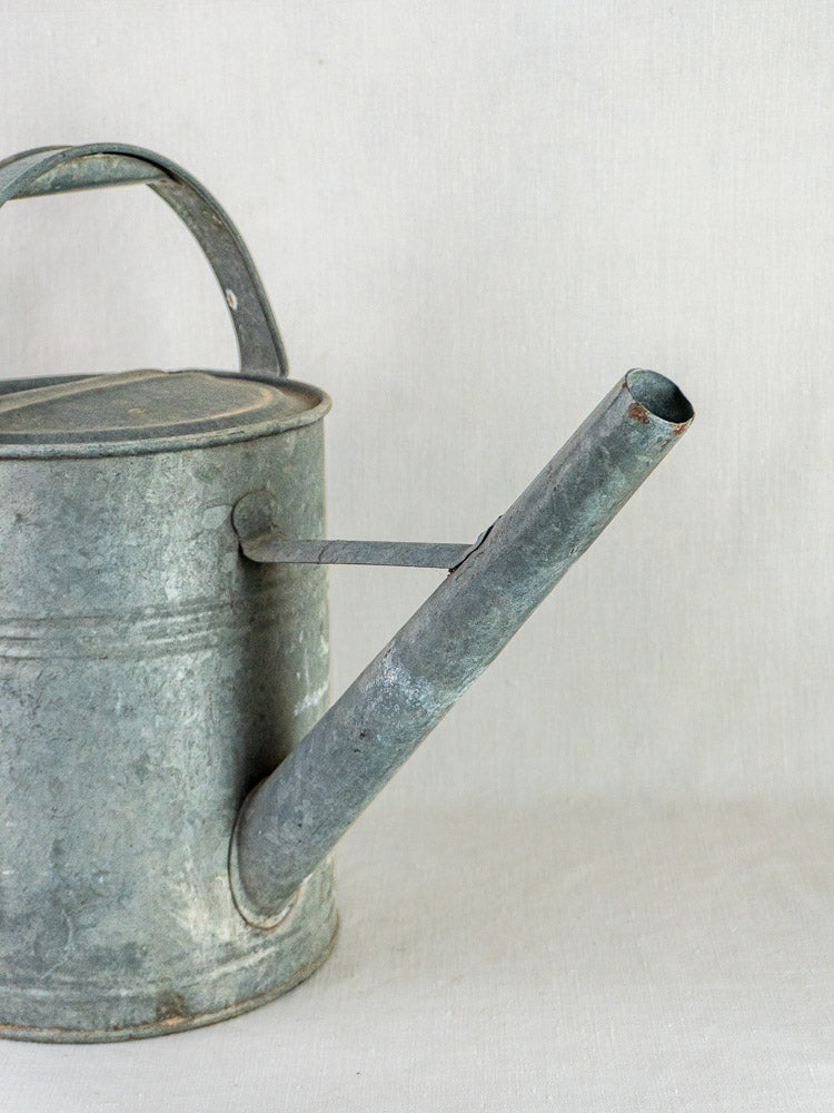 French galvanized zinc arrosoir with a long spout and weathered finish, plain light background.