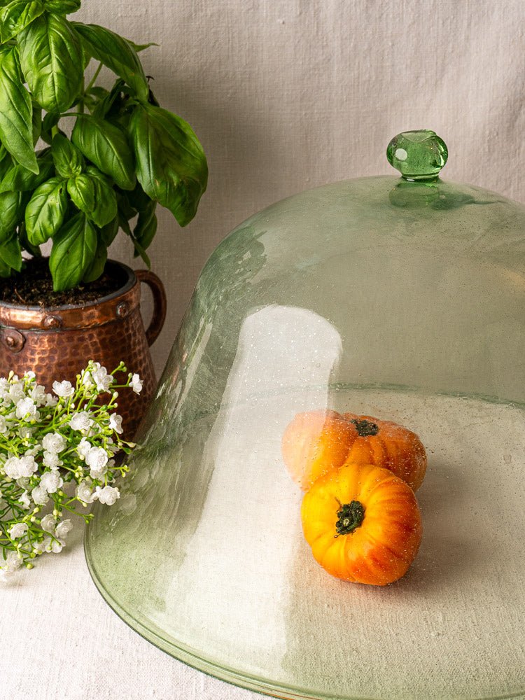 19th-century hand-blown pale green French glass garden cloche covering tomatoes, beside basil and white flowers on light surface.