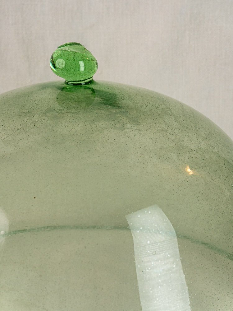 Antique French hand-blown glass garden cloche in pale green with top knob and textured reflections against a neutral backdrop.