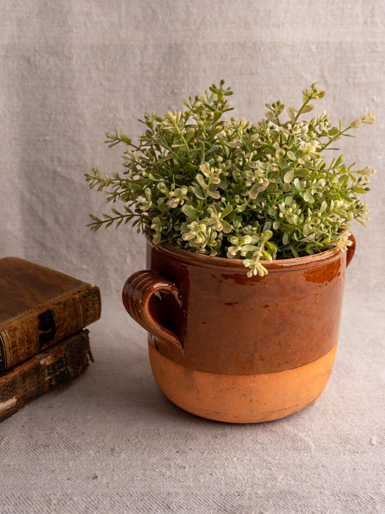 Antique French Digoin glazed earthenware confit pot with handles, holding greenery beside vintage books on neutral fabric.