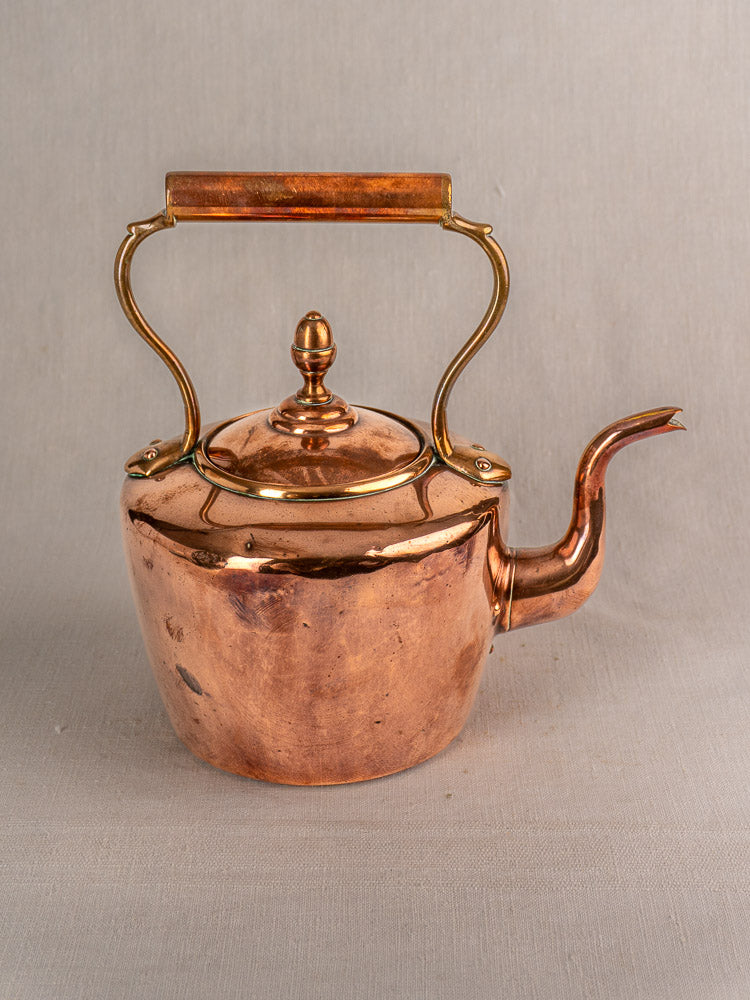 Antique French copper tea kettle with rounded body, gooseneck spout, brass acorn finial, wood handle; light textured surface.