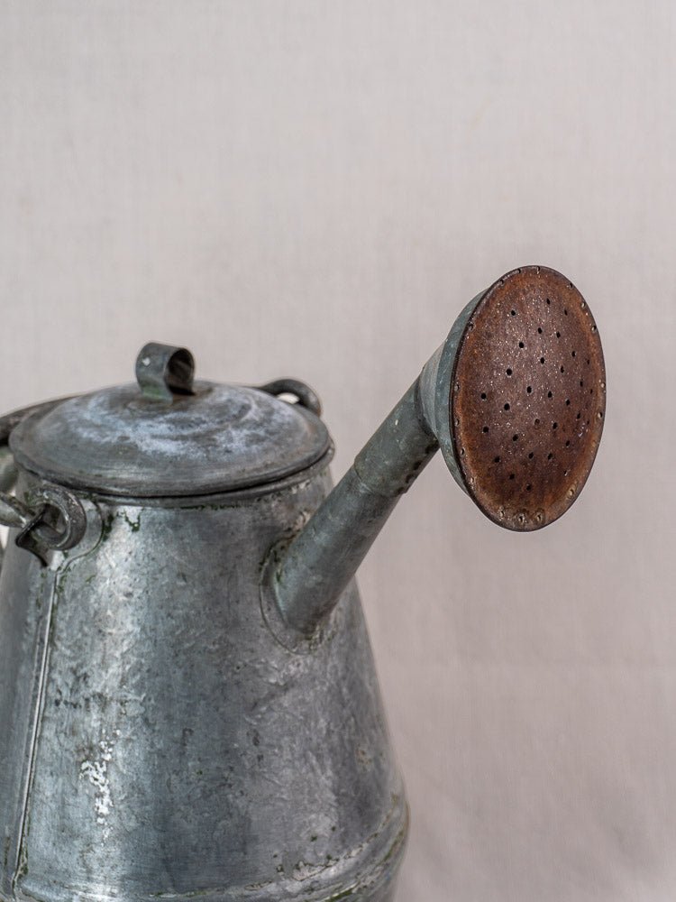 Antique French zinc watering can with milk can shape, perforated spout, and weathered patina on neutral background.
