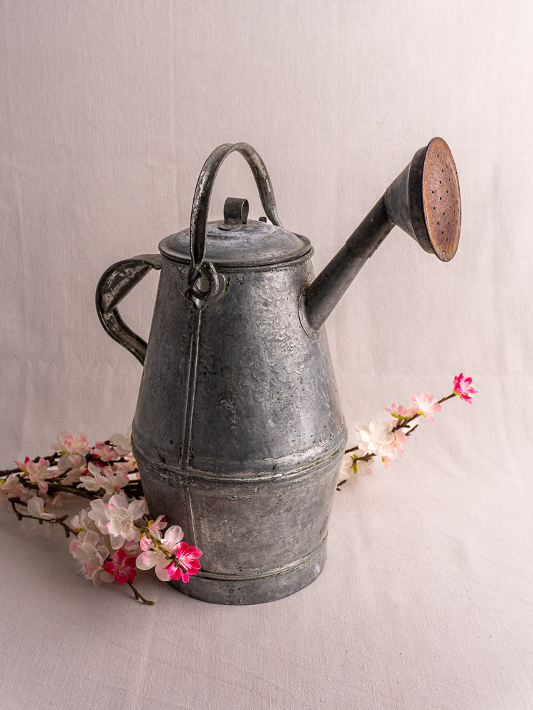 Early 20th century French zinc watering can with milk can shape, curved handle, hinged lid, and long spout on pale background.