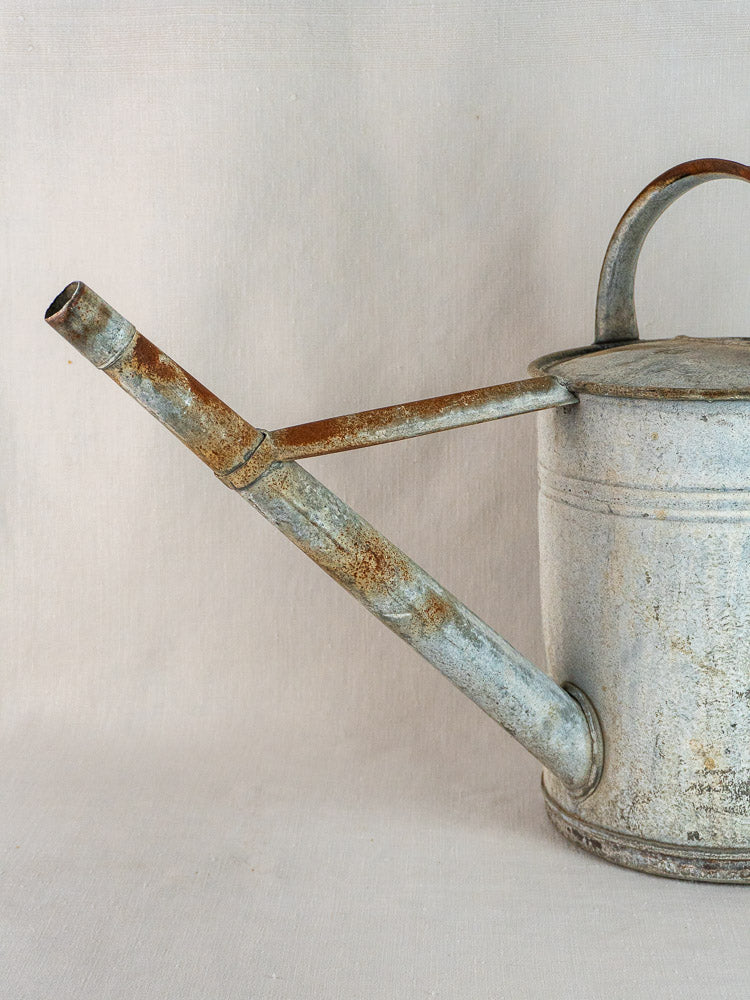 French zinc watering can with rustic patina and light rust, set against a neutral backdrop.