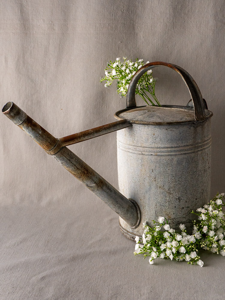 French zinc watering can with aged patina and rust, filled with white flowers on neutral fabric.
