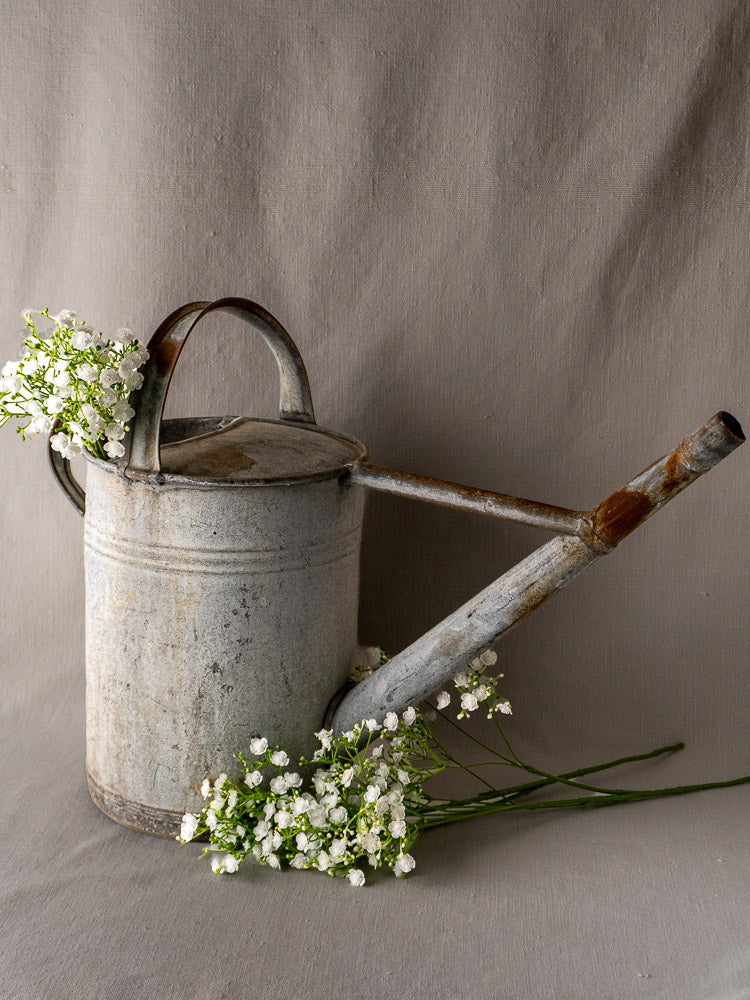 French zinc arrosoir watering can with side spout, accented by white baby’s breath flowers.